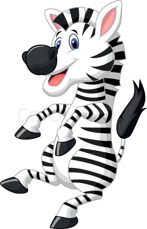 Zebra